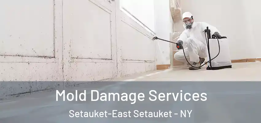  Mold Damage Services Setauket-East Setauket - NY