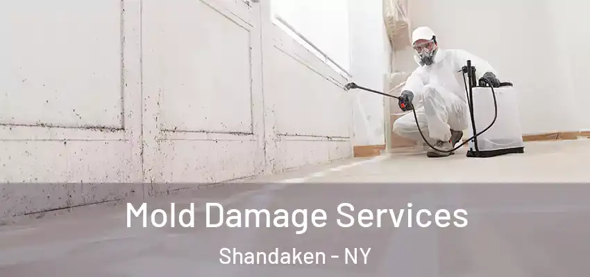 Mold Damage Services Shandaken - NY