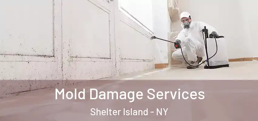  Mold Damage Services Shelter Island - NY