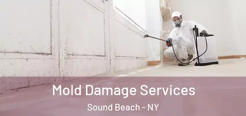 Mold Damage Services Sound Beach - NY