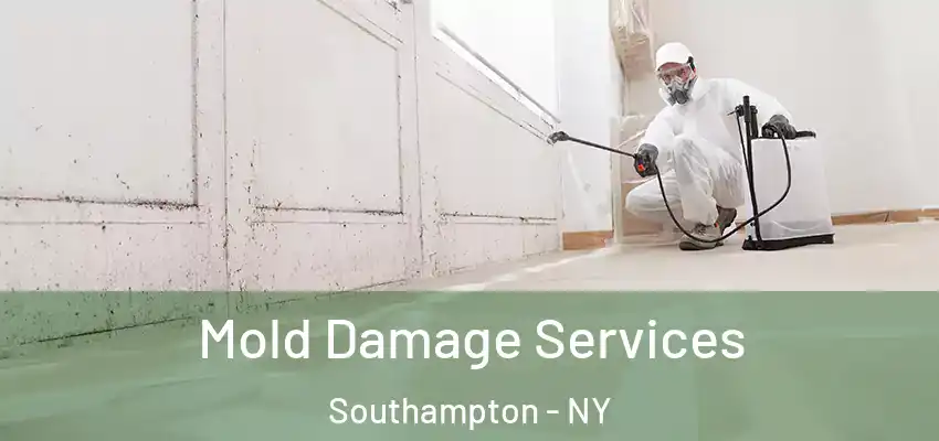 Mold Damage Services Southampton - NY