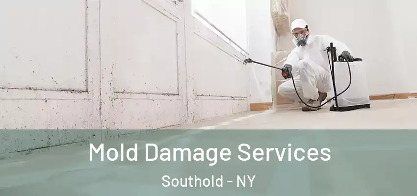 Mold Damage Services Southold - NY