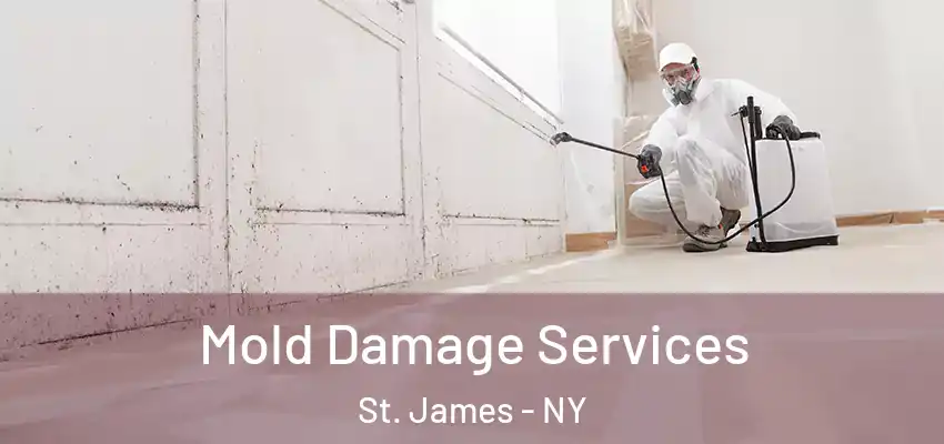 Mold Damage Services St. James - NY