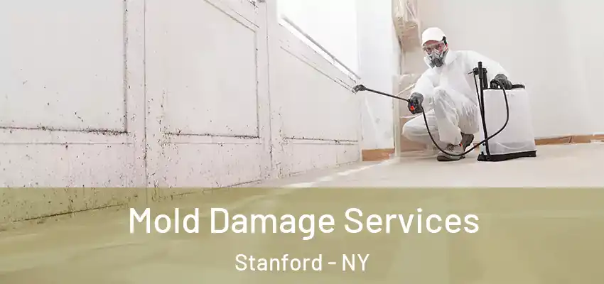  Mold Damage Services Stanford - NY