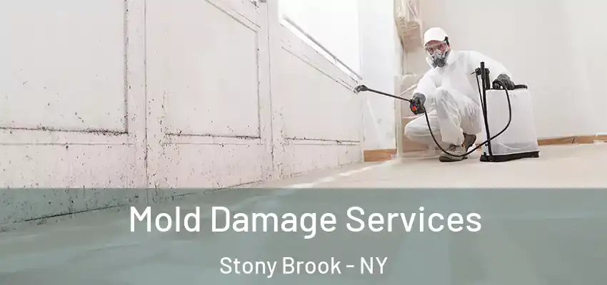 Mold Damage Services Stony Brook - NY
