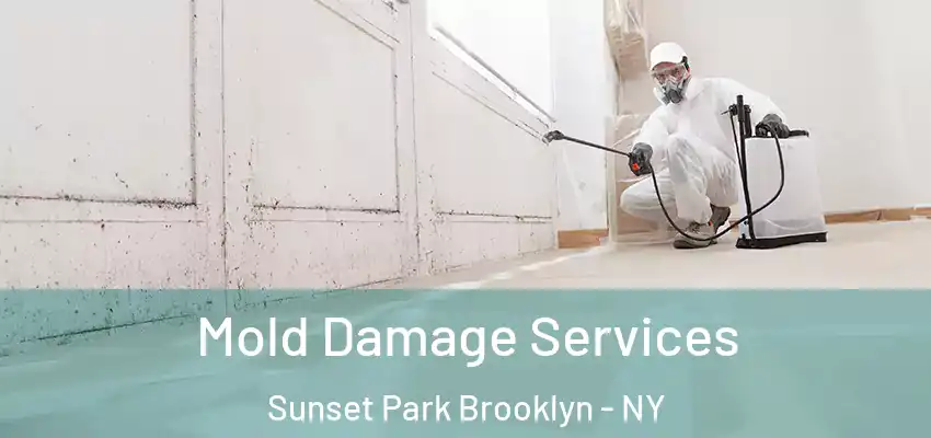 Mold Damage Services Sunset Park Brooklyn - NY