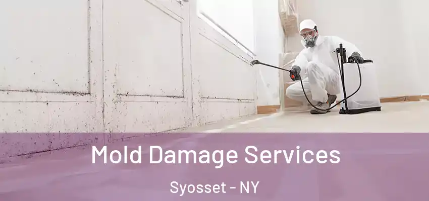  Mold Damage Services Syosset - NY