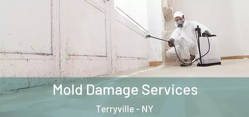 Mold Damage Services Terryville - NY