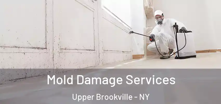  Mold Damage Services Upper Brookville - NY