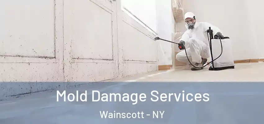  Mold Damage Services Wainscott - NY