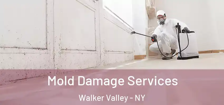  Mold Damage Services Walker Valley - NY