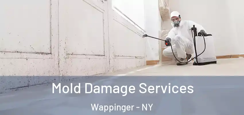 Mold Damage Services Wappinger - NY