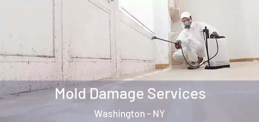 Mold Damage Services Washington - NY