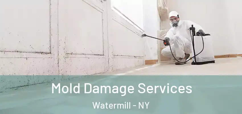  Mold Damage Services Watermill - NY