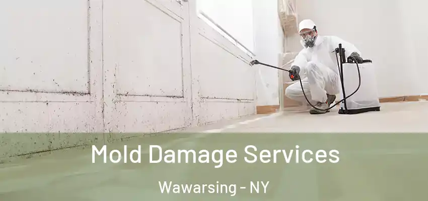  Mold Damage Services Wawarsing - NY