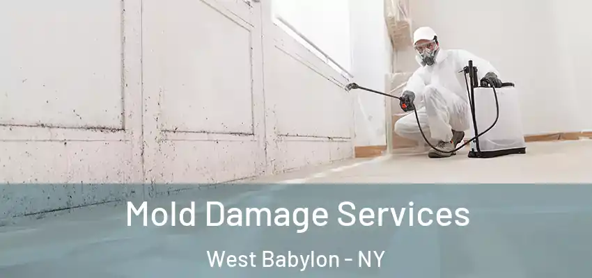 Mold Damage Services West Babylon - NY