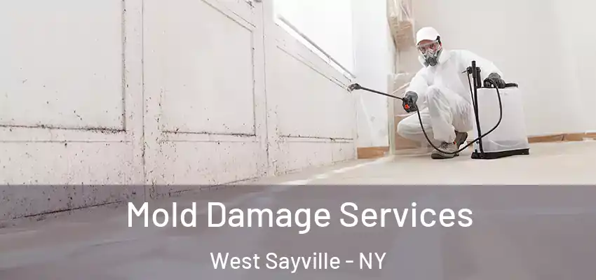  Mold Damage Services West Sayville - NY