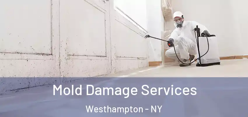  Mold Damage Services Westhampton - NY