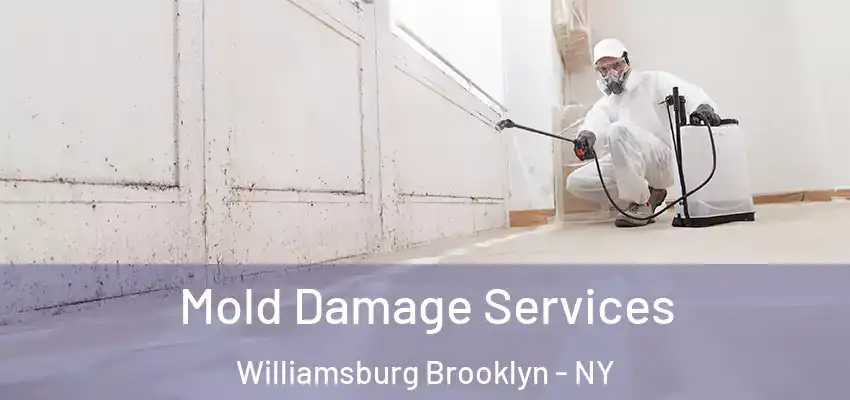 Mold Damage Services Williamsburg Brooklyn - NY