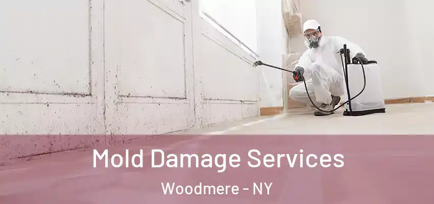 Mold Damage Services Woodmere - NY