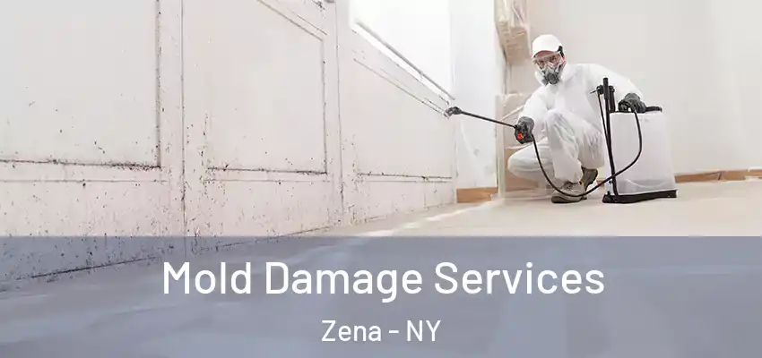  Mold Damage Services Zena - NY