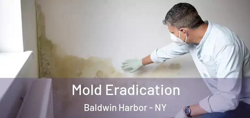  Mold Eradication Baldwin Harbor - NY