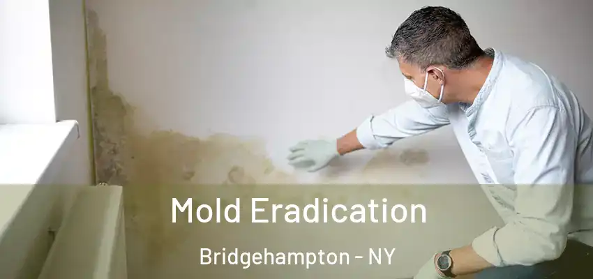  Mold Eradication Bridgehampton - NY