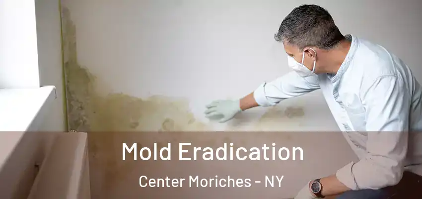 Mold Eradication Center Moriches - NY