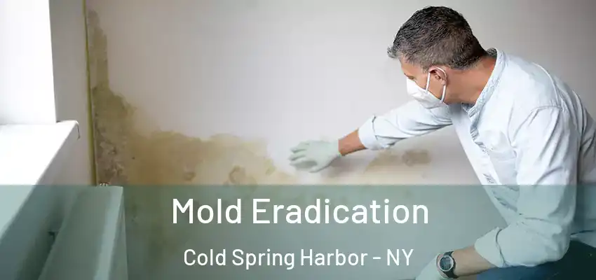  Mold Eradication Cold Spring Harbor - NY