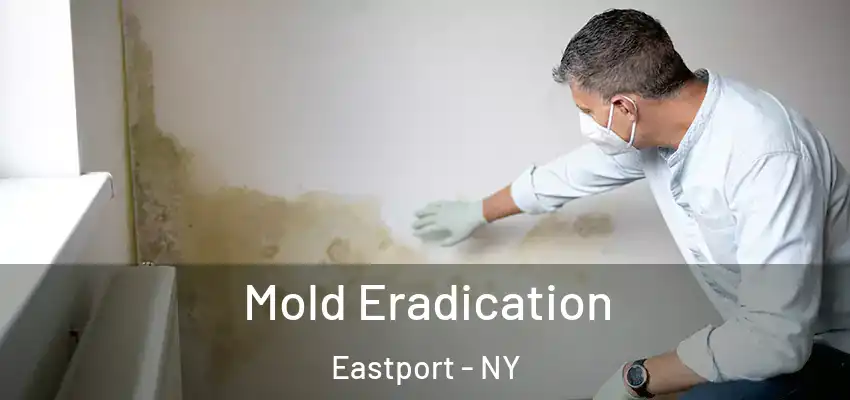  Mold Eradication Eastport - NY
