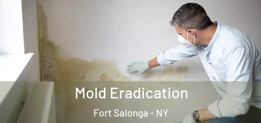 Mold Eradication Fort Salonga - NY