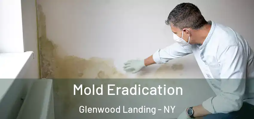  Mold Eradication Glenwood Landing - NY