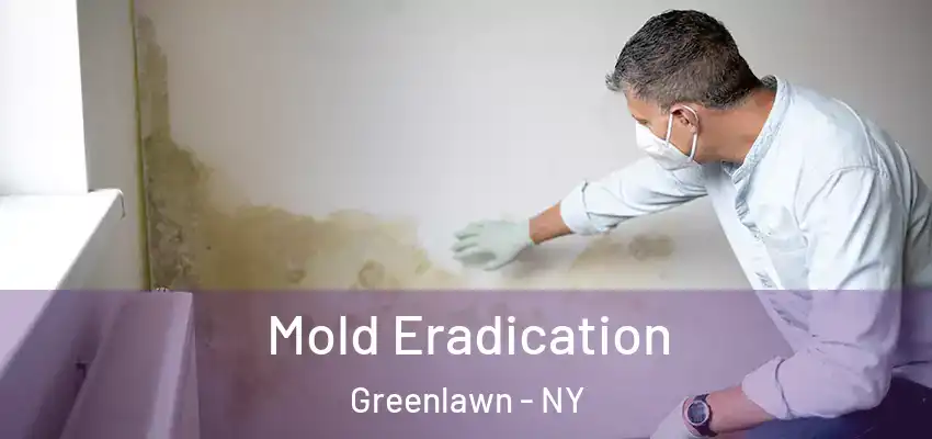 Mold Eradication Greenlawn - NY