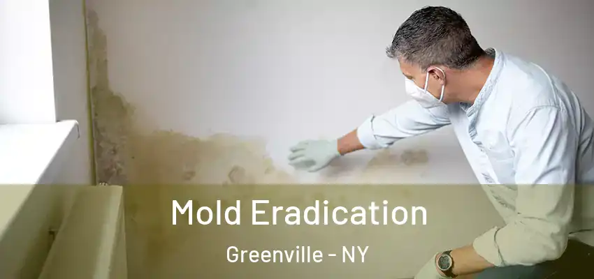 Mold Eradication Greenville - NY
