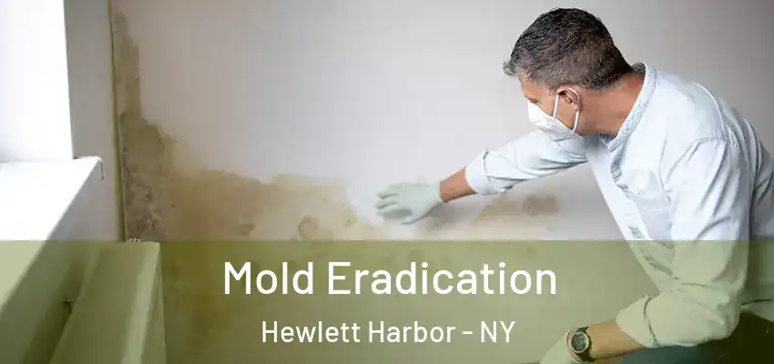 Mold Eradication Hewlett Harbor - NY