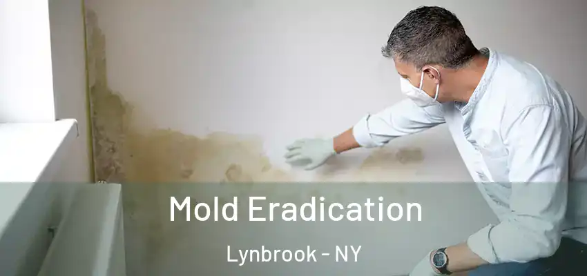 Mold Eradication Lynbrook - NY