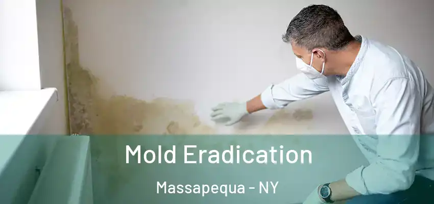 Mold Eradication Massapequa - NY