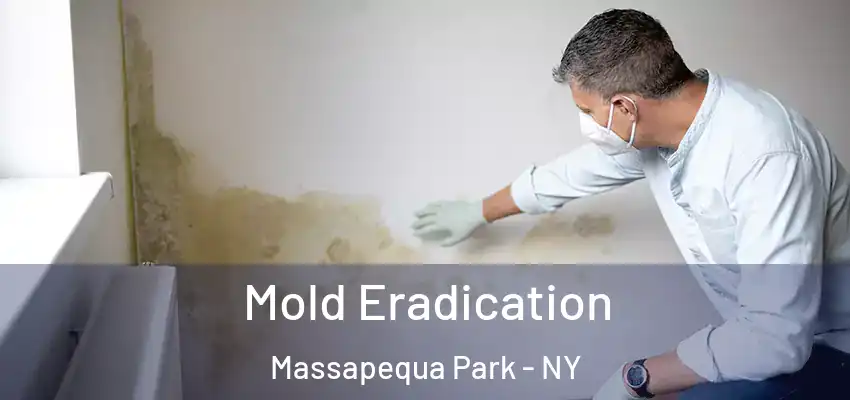  Mold Eradication Massapequa Park - NY