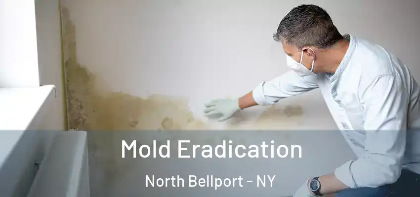 Mold Eradication North Bellport - NY