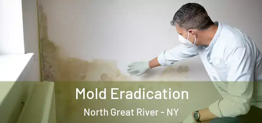 Mold Eradication North Great River - NY