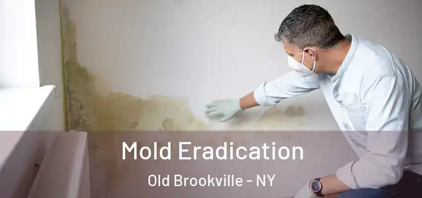 Mold Eradication Old Brookville - NY