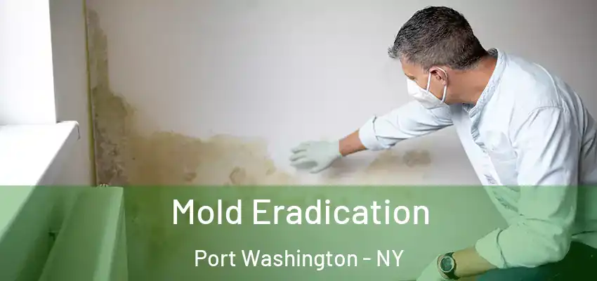 Mold Eradication Port Washington - NY