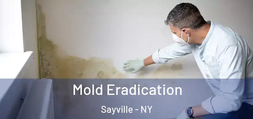  Mold Eradication Sayville - NY