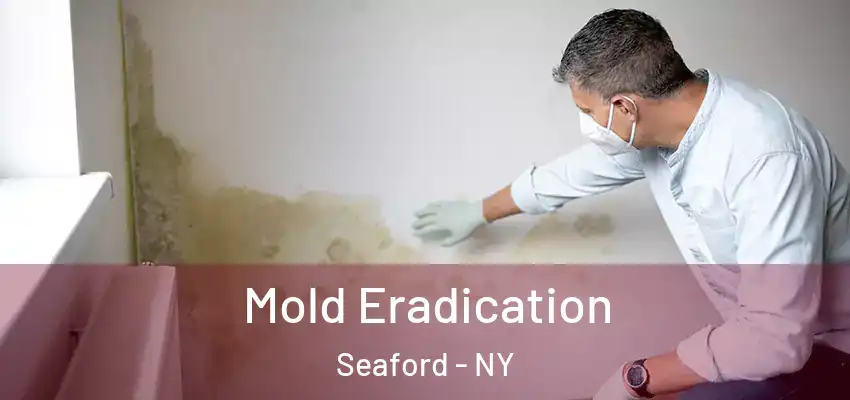  Mold Eradication Seaford - NY