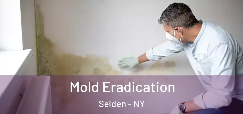  Mold Eradication Selden - NY