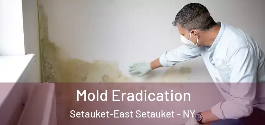  Mold Eradication Setauket-East Setauket - NY