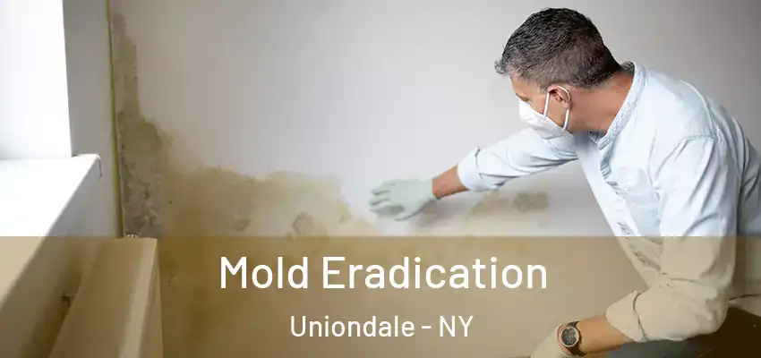 Mold Eradication Uniondale - NY