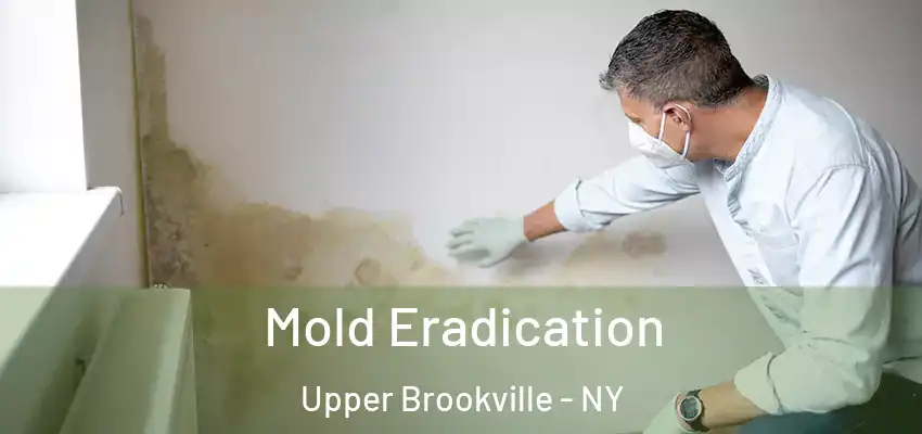  Mold Eradication Upper Brookville - NY