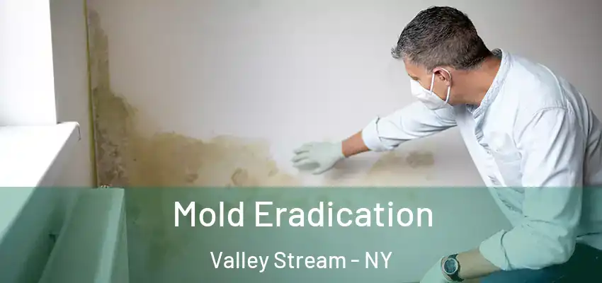 Mold Eradication Valley Stream - NY