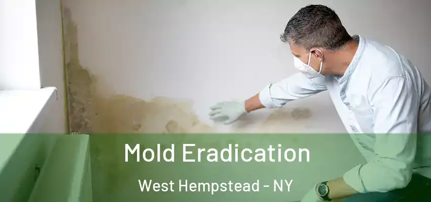 Mold Eradication West Hempstead - NY